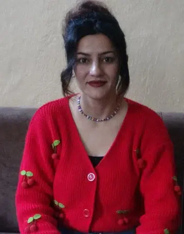 Yazar Diaal Ali: Kürt Birliği İçin Aydınlar Harekete Geçmeli