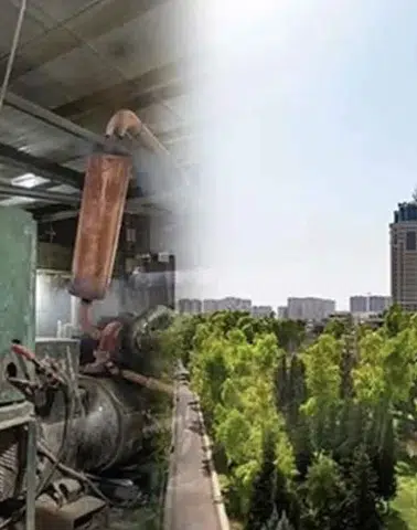 Kürdistan Bölgesi'nde Çevre Devrimi: "Runaki"