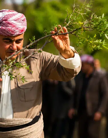 Omuz Omuza Bir Yaşam: Kürt Kültüründe Govend