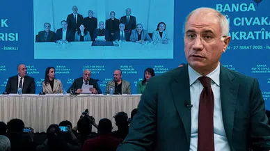 Efkan Ala’dan silah bırakma çağrısına değerlendirme: Sonuca bakarız