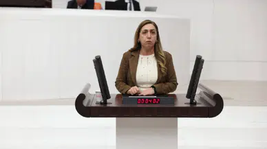 Saliha Aydeniz: Kürt halkı, dili için büyük bedeller ödüyor