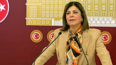 Meral Danış Beştaş: Kürt meselesi tehditlerle çözülmez, fikirler lazım