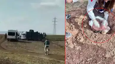 Şırnak’ta poşet içinde yeni doğmuş bebeğin cansız bedeni bulundu