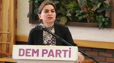 DEM Parti'den ateşkes açıklaması