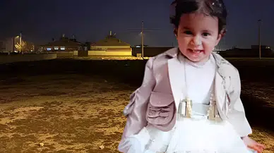 Konya'da sahipsiz köpek saldırısında 2 yaşındaki çocuk yaşamını yitirdi