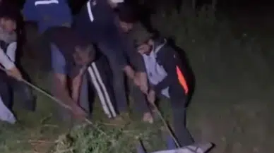 Batman’da çukura düşen inek kurtarıldı