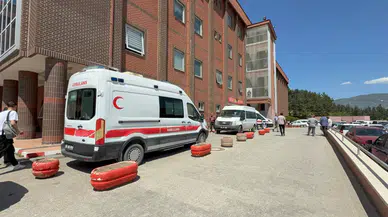 Kene Isırığı 1 buçuk yaşındaki çocuğun canını aldı