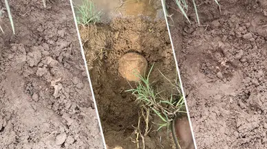 Lice'de bulunan kemiklere yapılan kazı hukuka aykırı!