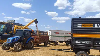 Mardin'de ilk arpa hasadı başladı, çiftçiye altın ödülü!