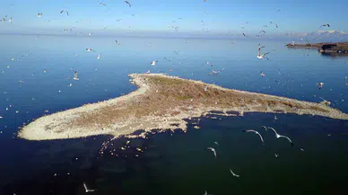 Van Gölü ve çevresinde kuraklık tehlikesi büyüyor