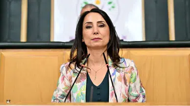 Hatimoğulları: Çözüm süreci yavaş ilerliyor, adım atılmalı