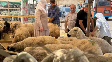 Kurban pazarlarında ikinci gün yoğunluğu: Fiyatlar düşmedi