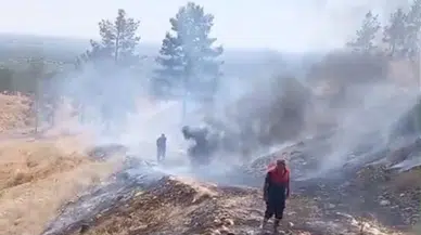Şanlıurfa’da sönmemiş sigara izmariti yangınlara yol açtı
