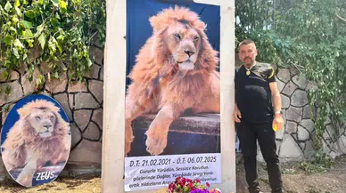Aslan Zeus’un öldürülmesine ilişkin suç duyurusu