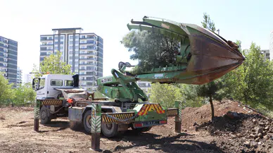 Yenişehir'de ağaçlar söküldü, başka yere taşındı