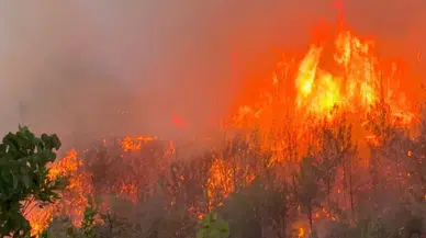 Hatay'daki orman yangınına Diyarbakır’dan yardım