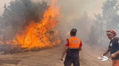 Orman işçilerine 24 saat kesintisiz çalışma, günde sadece 53 lira