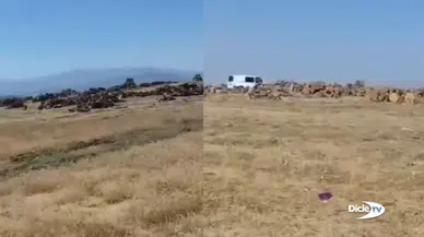 Yangın çıkar diye girişe kapatılan ormanlarda korucular kesim yapıyor