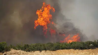 Tekirdağ Şarköy’deki orman yangınında  bin 320 kişi tahliye edildi