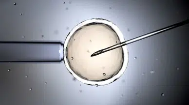 Üç ebeveynli tüp bebek yöntemiyle ilk sağlıklı doğumlar gerçekleşti