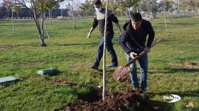 Orman yangınına neden olanlara ağaç dikme cezası verildi
