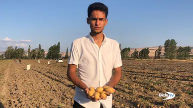 Çiftçi, satamadığı 8 ton patatesi ücretsiz dağıttı