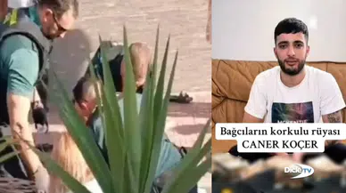 "Daltonlar" çetesinin yöneticisi Caner Koçer, İspanya’da öldürüldü