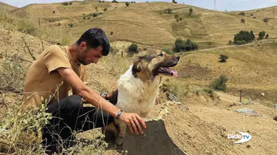 Hakkâri’de bir köpek 10 gündür sahibinin mezarında ekliyor