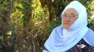 Sakine Arat'ın adı Diyarbakır'da bir caddeye verildi