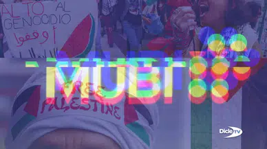 Sinema TV Sendikası'ndan MUBI'ye Gazze çağrısı: Sessiz kalmak taraf olmaktır