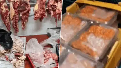 11 ton bozuk et ve tavuk: Üç işletmenin faaliyeti durduruldu
