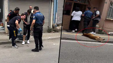 Kavga ihbarına gelen bir polisi ısırdı, diğerini köpeğine ısırttı!