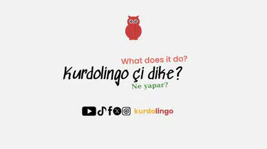 Kürtçe öğrenme platformu Kurdolingo yayına başladı