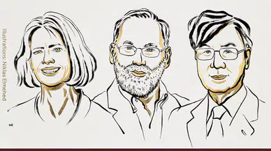 Nobel Tıp Ödülü sahiplerini buldu