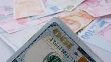 Döviz kurları güne yükselişle başladı?