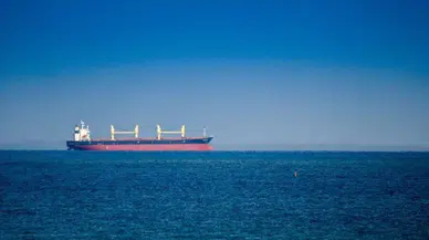 İstanbul açıklarında gemide zehirlenme: gözaltına alındı