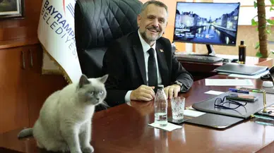 CHP'li meclis üyesi: Belediyemizin kedisi Bulut'a da kayyım atandı