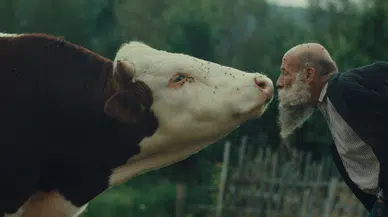 Ankara Film Festivali başlıyor