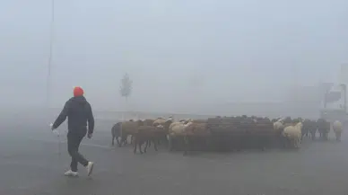 Türkiye'de hava kirliliği raporu: Diyarbakır en temiz ikinci il