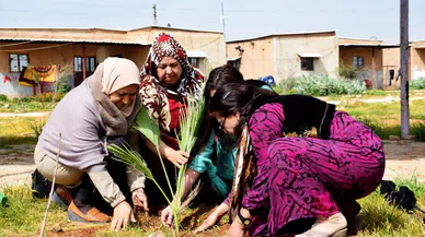 Jinwar: Savaşın Ortasında Kurulan Kadın Köyü