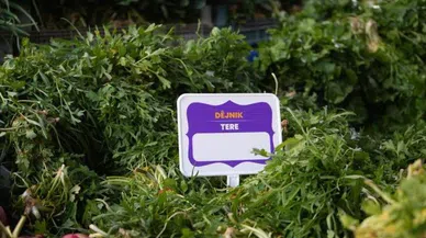 Diyarbakır'da Anadil Günü'nde anlamlı hareket