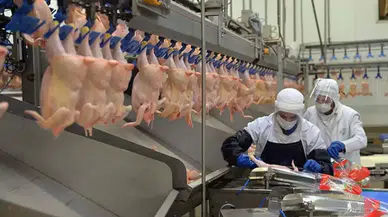 Bakanlıktan ramazan öncesi tavuk kararı