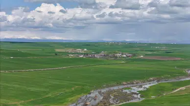 Diyarbakır’da Tarımsal Sabotaj: 250 Dönüm Ekili Alan Kurutuldu