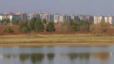 Kuş Cenneti Betonla Kuşatılıyor: Kabaklı Göleti Tehlikede