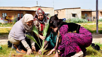 Jinwar: Savaşın Ortasında Kurulan Kadın Köyü