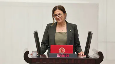 Türkan Elçi, Komisyon Raporu'nu reddetti: Onay veremem
