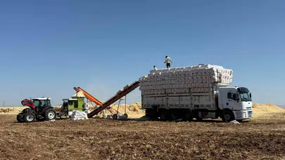 Diyarbakır sıcağında zorlu saman mesaisi