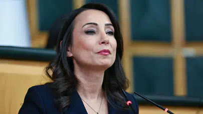 Bahçeli'den sonra DEM Parti de Öcalan için statü istedi