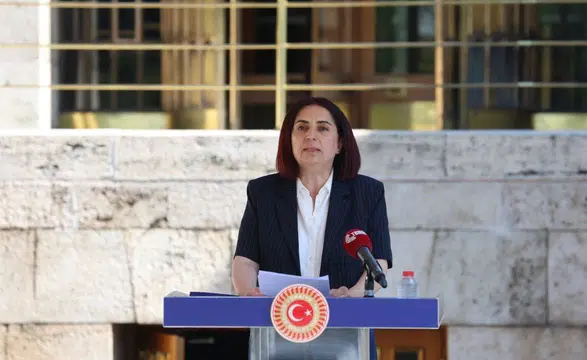 Sevilay Çelenk: "Sorun Sadece Sosyal Medya Değil"