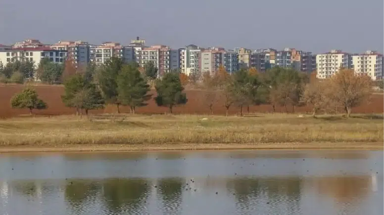 Kuş Cenneti Betonla Kuşatılıyor: Kabaklı Göleti Tehlikede
